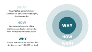 Golden Circle Modell Sinek